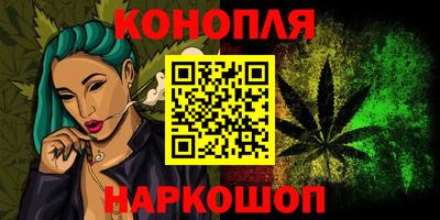 стафф Краснознаменск