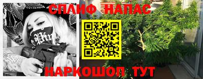 прущие грибы Азнакаево