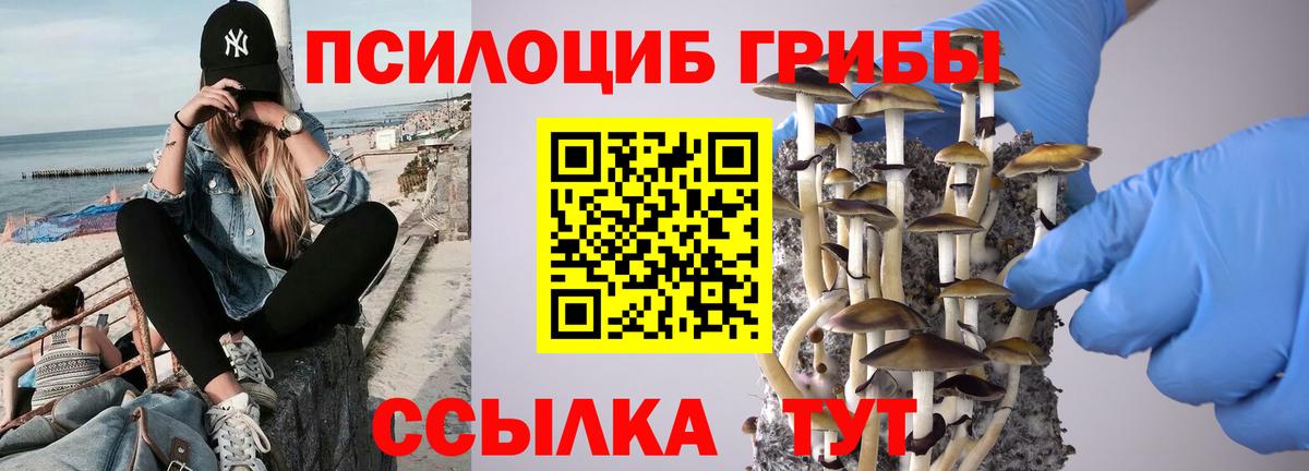 Галлюциногенные грибы MAGIC MUSHROOMS  Галлюциногенные грибы Magic Shrooms  Сорочинск  Вход с VPN 