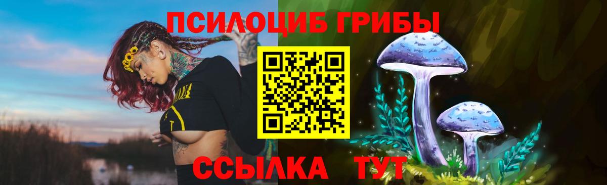 Галлюциногенные грибы Psilocybe  Вход с VPN  Сорочинск 